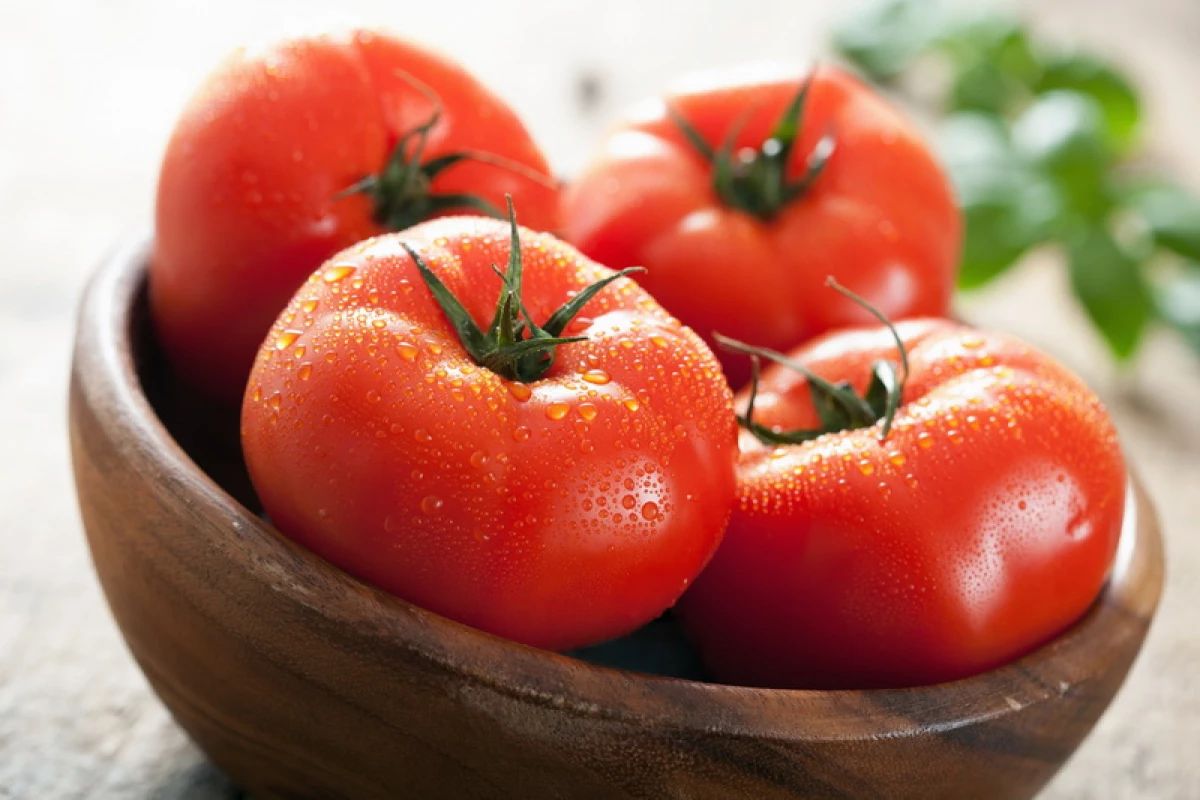 Pecha como na selección. Mellores variedades de tomates a grande escala