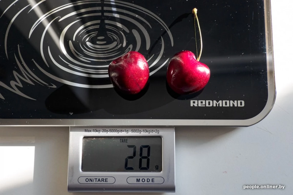 Uma cereja doce apareceu em um mosquito - 220 rublos por quilograma. Para degustação comprou 28 gramas para cinco rublos 5031_2