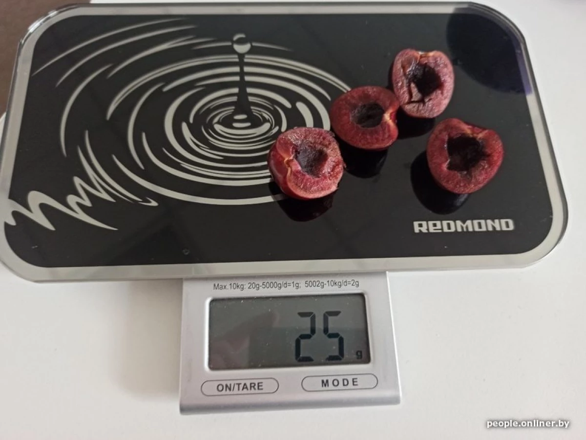 En sød kirsebær optrådte på en myg - 220 rubler pr. Kg. Til prøvesmagning købte 28 gram til fem rubler 5031_3