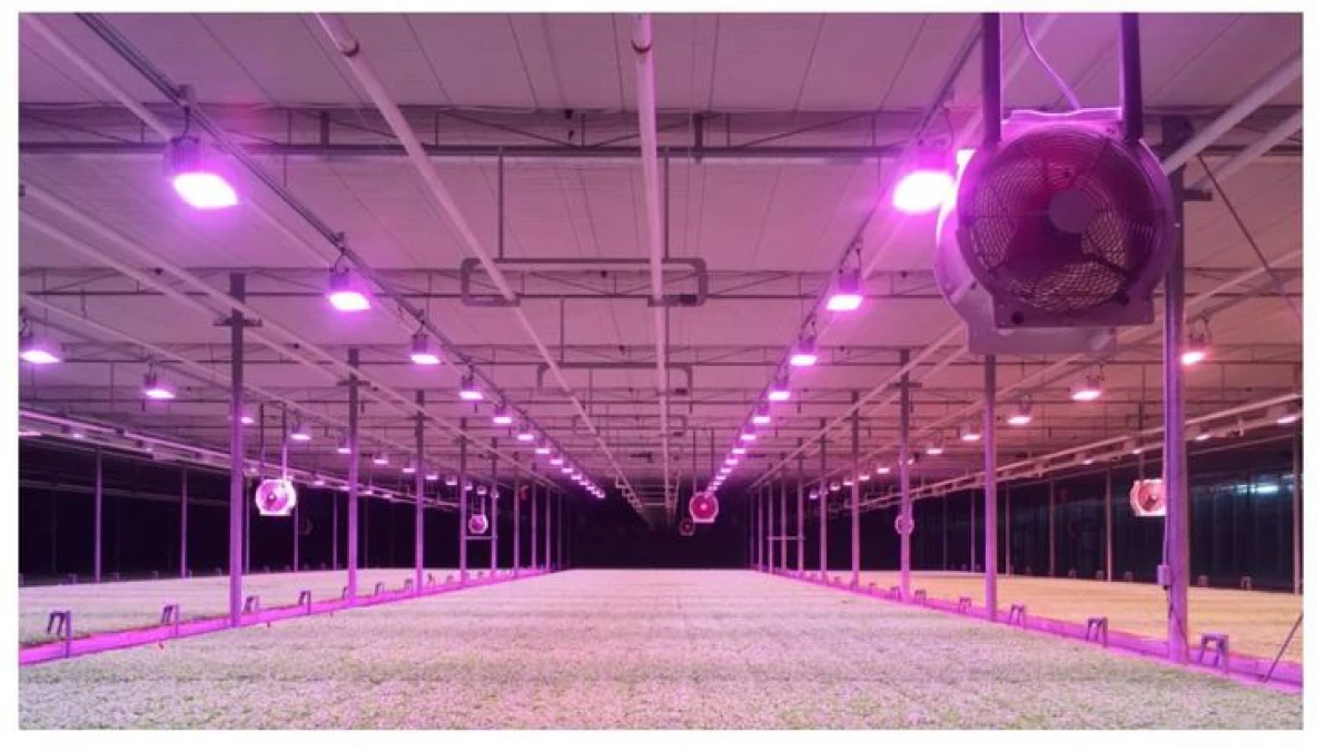 LEDs: ਸਹੂਲਤਾਂ ਦੀ ਕੀਮਤ ਵਿੱਚ ਵਾਧਾ ਦੇ ਪਿਛੋਕੜ 'ਤੇ ਕੰਮ ਕਰਨ ਦਾ ਸਮਾਂ