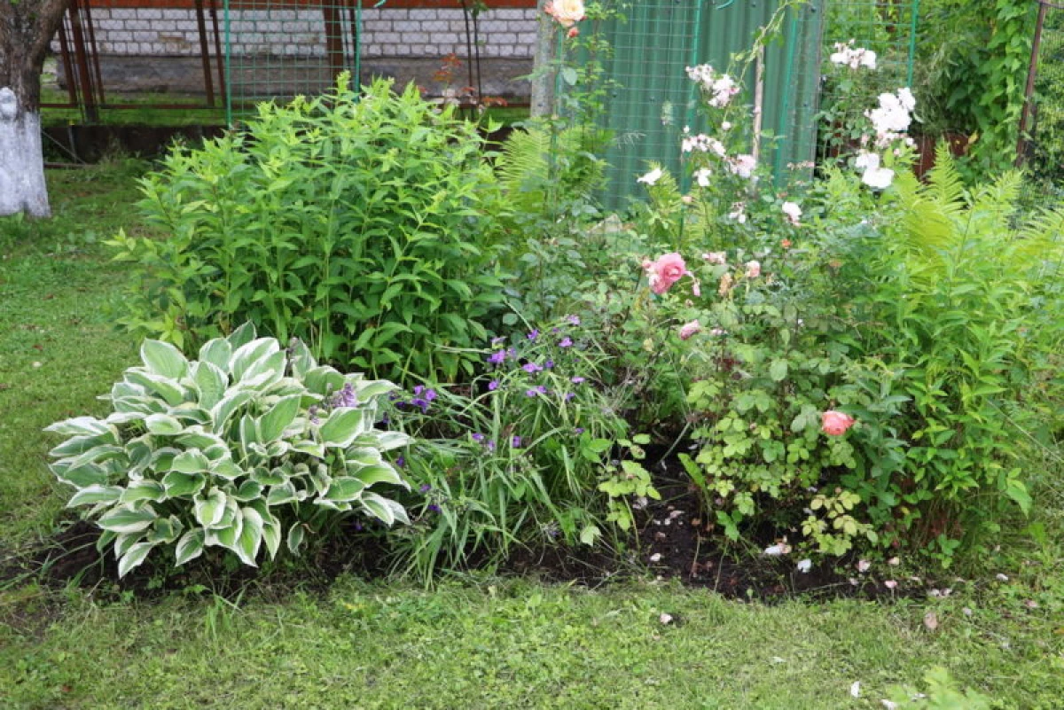 10 available ways to fix a ugly flower bed 5330_1