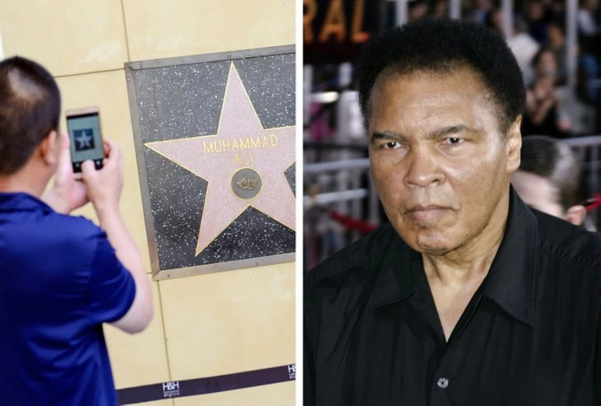 10 người nổi tiếng đã bỏ rơi một ngôi sao trên hẻm vinh quang của Hollywood 5764_6