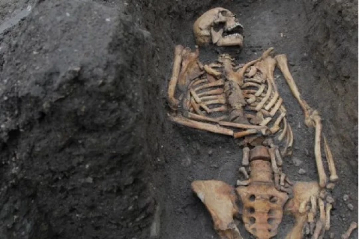 Вчені: Травми скелетів середньовічних робітників у Англії підтверджують соціальну нерівність 6724_1