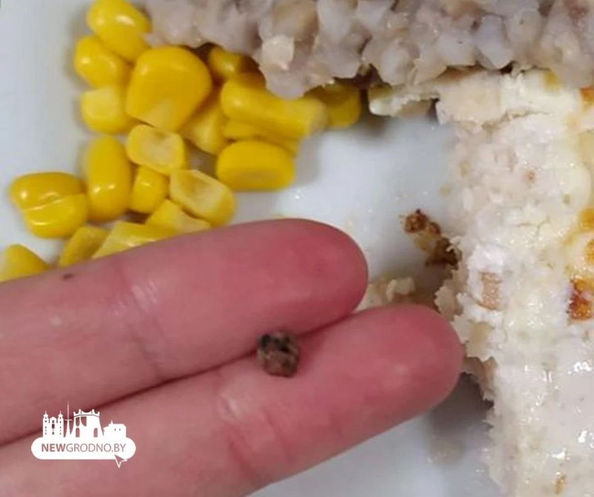 ขนมปังที่เป็นของแข็งและหั่นมีหิน สิ่งที่เด็ก ๆ ได้รับอาหารในโรงเรียน Grodno (วิดีโอ) 7803_1