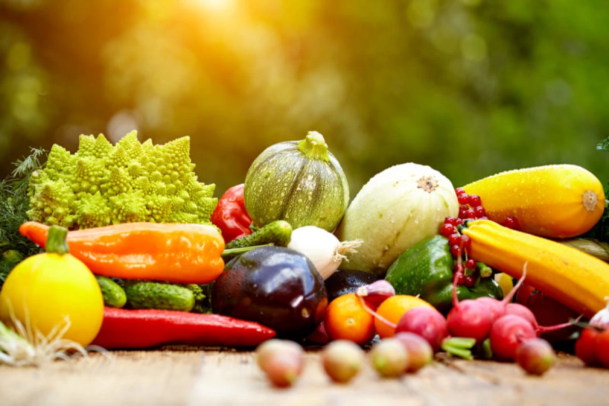 Das einfachste Gemüse: Was soll ich Newcomer-Lebensmittelgeschäft anbauen?