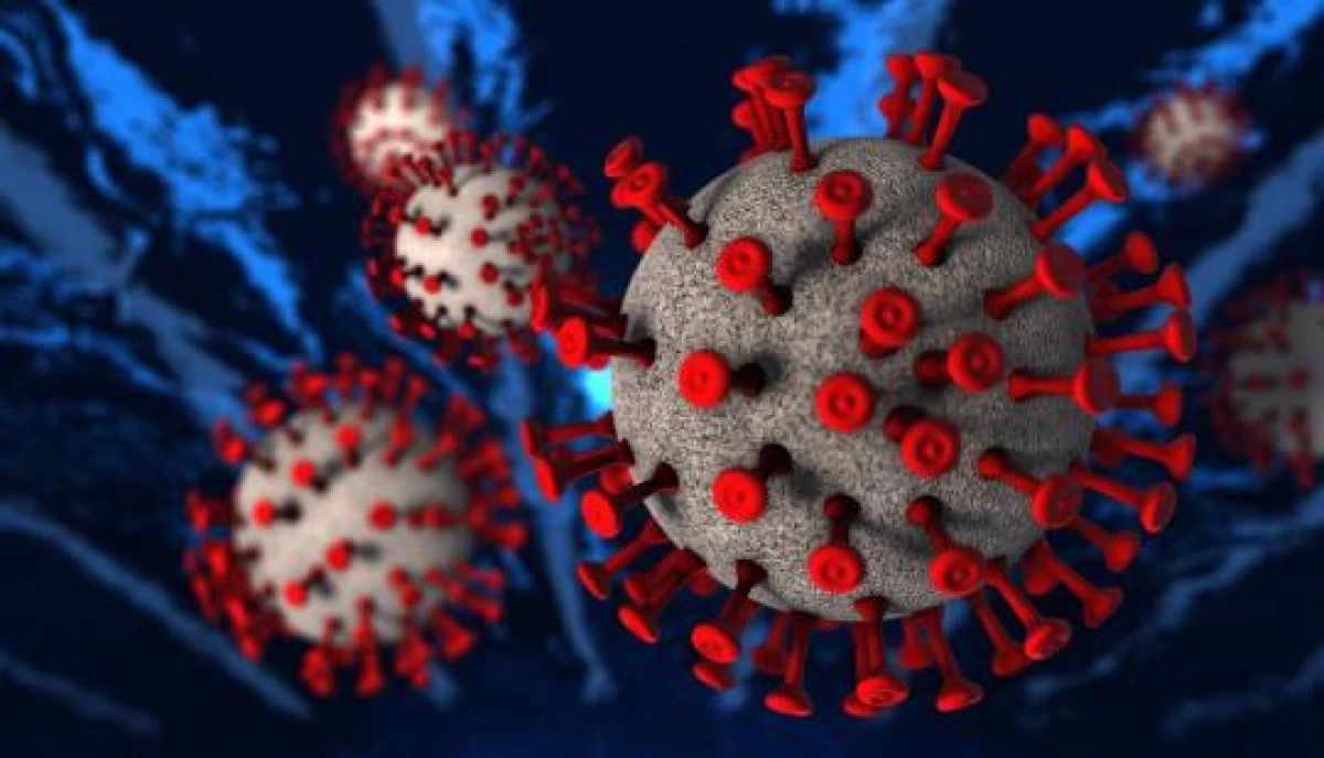 German scientists study the structure of the SARS-COV-2 virus using 3D modeling 8102_1