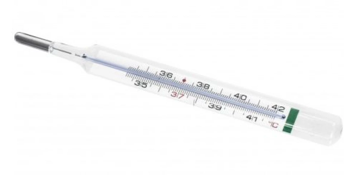 Body Thermometer: Hvad er den mest præcise 8421_3
