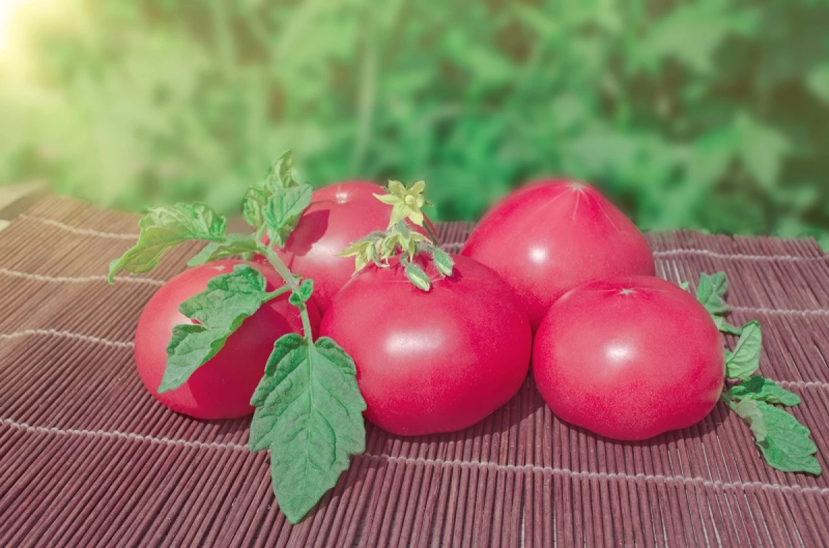 Tomato kuchokera kwa nthawi ya Soviet kwa zamakono - mitundu 5 ya legend 9856_5