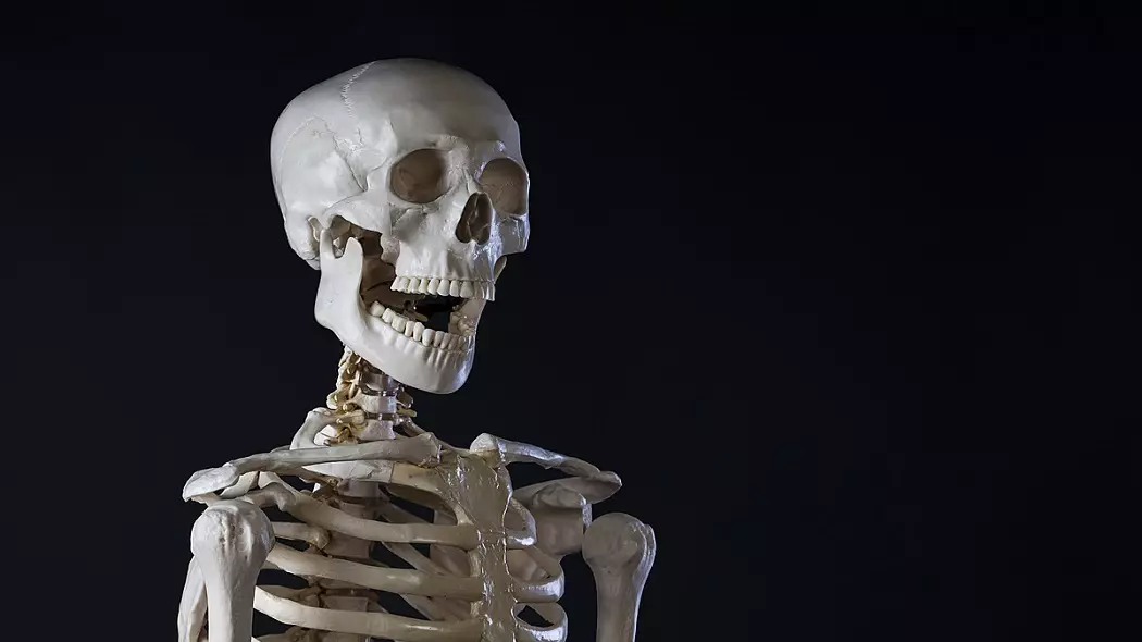 Lêkolîna skeletonên mirovî li ser pêvajoyên pêşveçûnê dipeyivî da ku pathogens şer bikin
