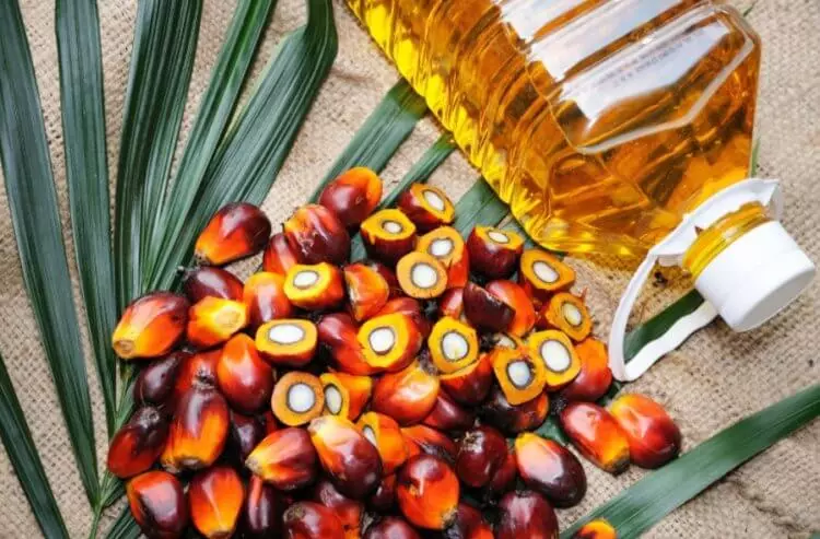 Šta je palmino ulje? 10724_4