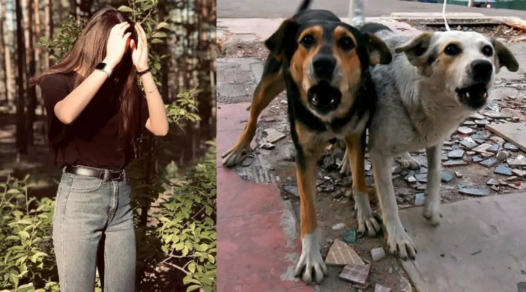 Os cans case rasgaron á moza de Ulan-UDE