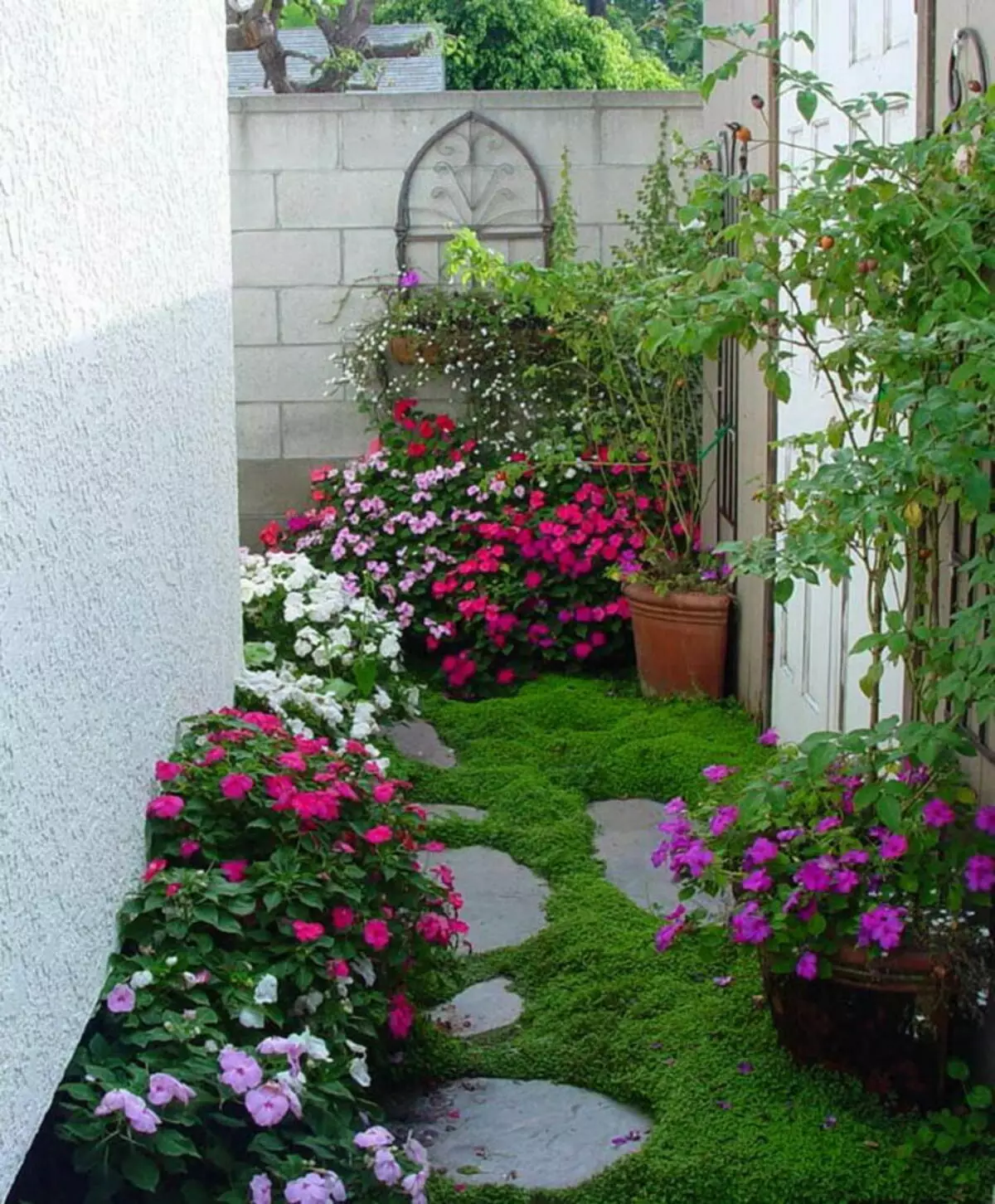 夏を逃した人のための民間家の中庭の10の美しい花壇 11123_1
