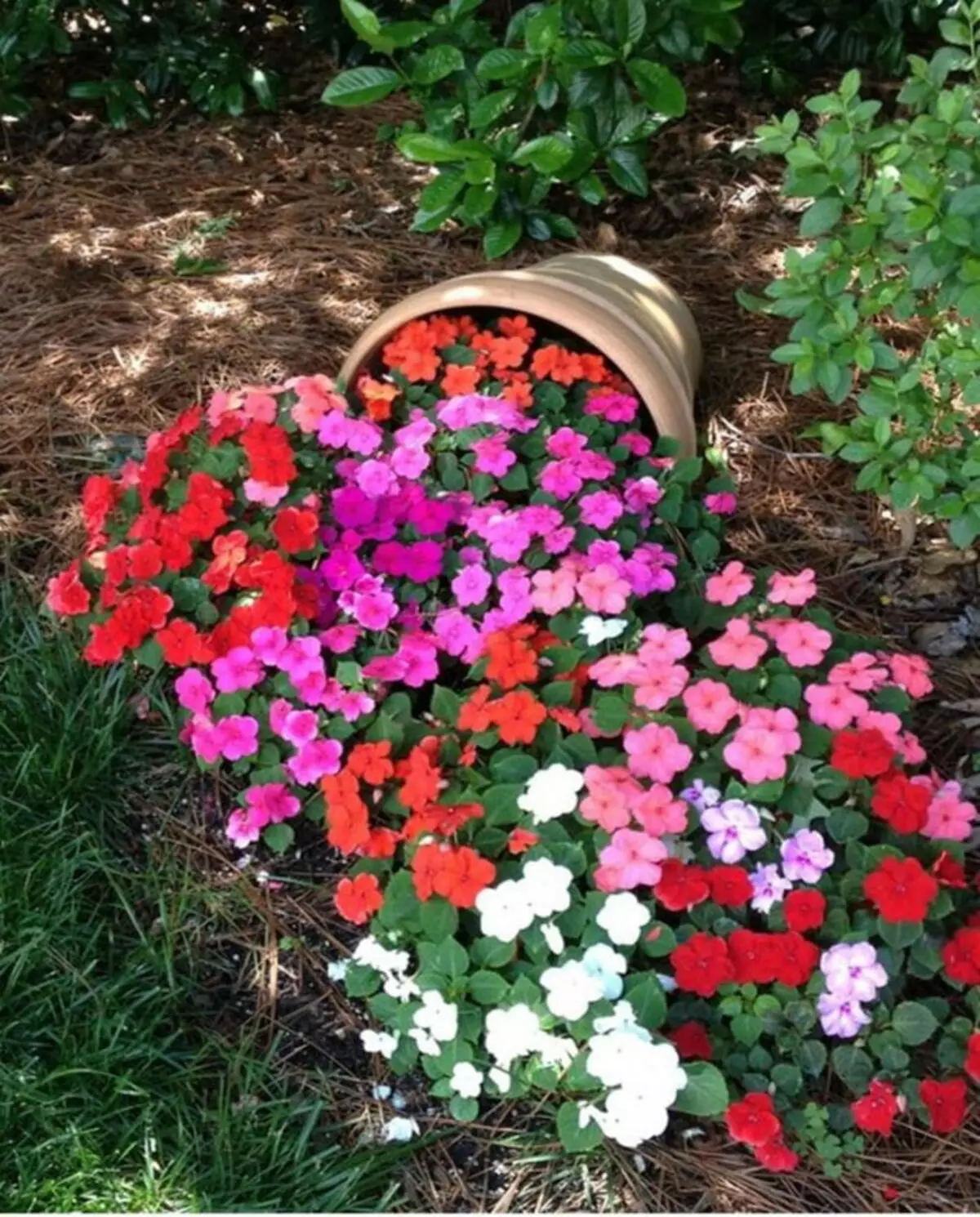 10 beautiful flower beds in the courtyard of a private house for those who missed the summer 11123_16