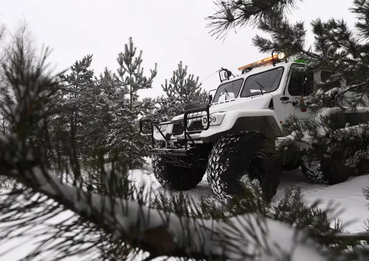 Weihnachtsbaum-Patrouille in Moskau: Wie die Weihnachtsbäume von illegalem Schnitt 11821_1