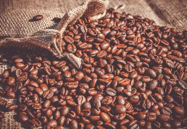 8 कारण कॉफी मोटी का निपटान न करें और रोजमर्रा की जिंदगी में इसका इस्तेमाल करें 12306_4