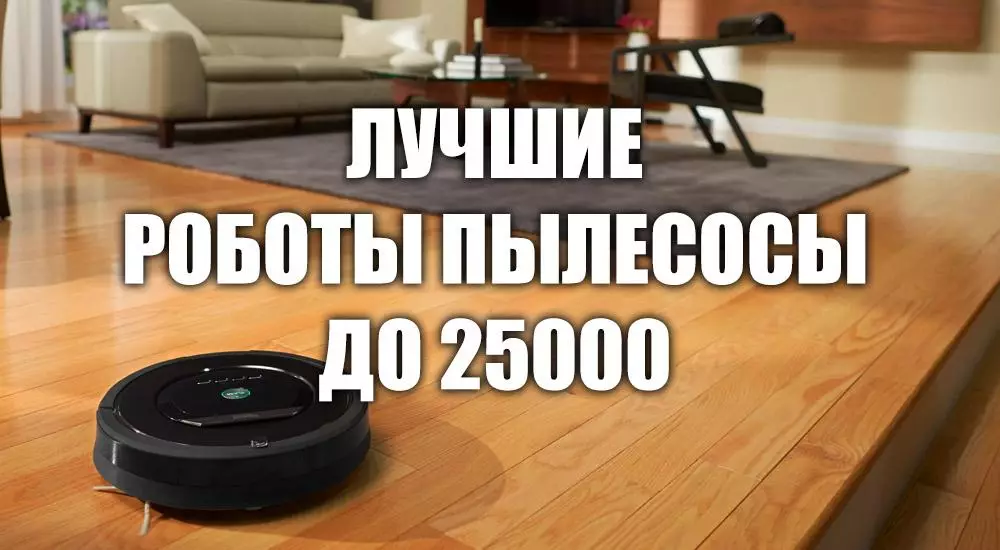 Labing maayo nga vacuum cleaners 2020-2021 hangtod 25,000 nga rubles
