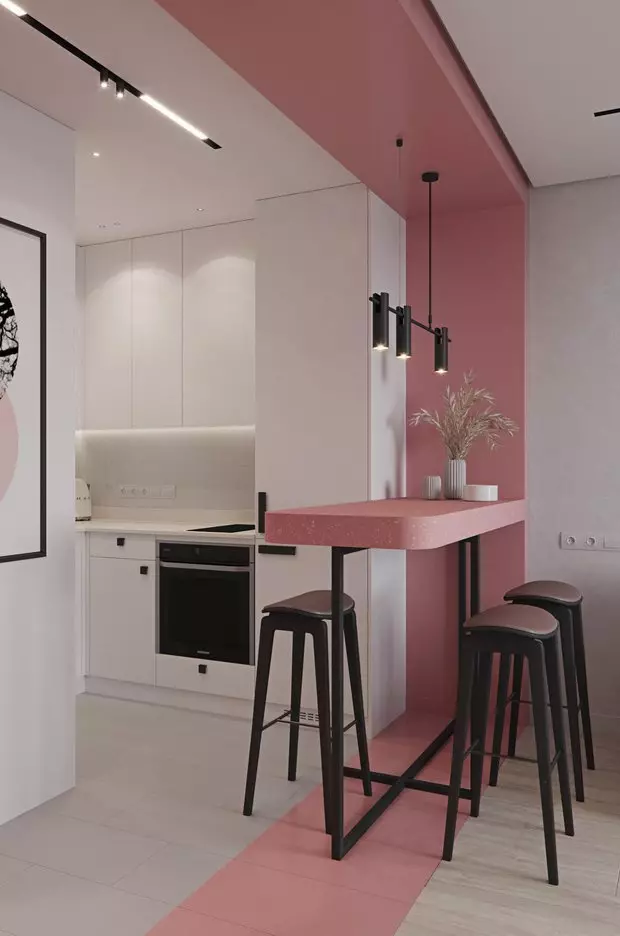 如何制作一个小，但舒适的厨房起居室：7个精彩的例子 13709_11
