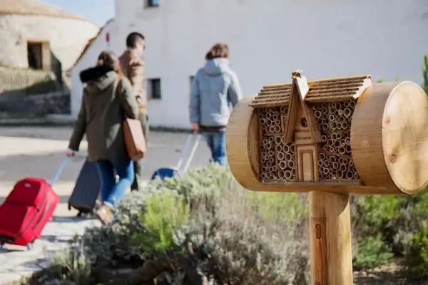 Tại sao bạn cần khách sạn cho ong và làm thế nào để làm cho họ? 14187_1