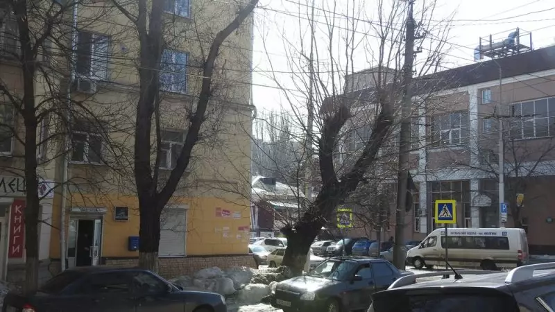 De oorzaak van massa-sloop van esdoorns in Saratov zal de reparatie van trottoirs zijn 14336_15