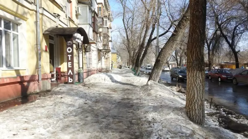 La cause de la démolition masse des érables à Saratov sera la réparation des trottoirs 14336_16