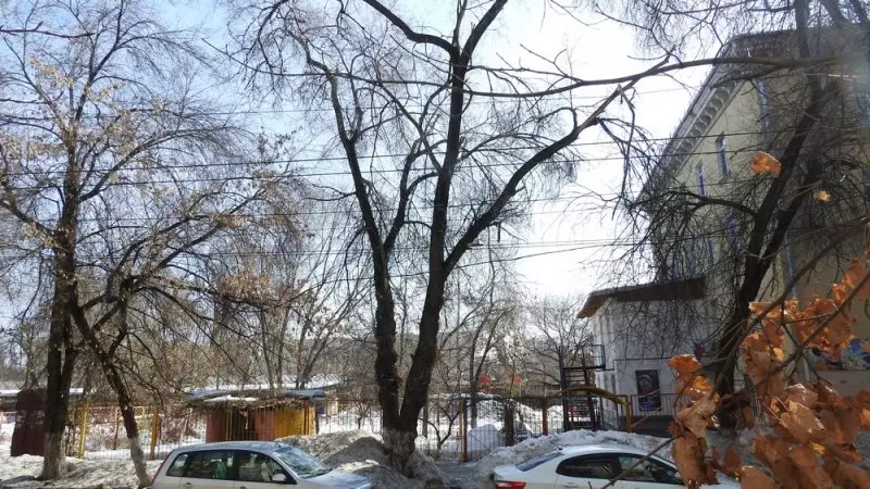 Saratov'daki Maples'un kütle yıkımının nedeni kaldırımların tamiri olacaktır. 14336_20