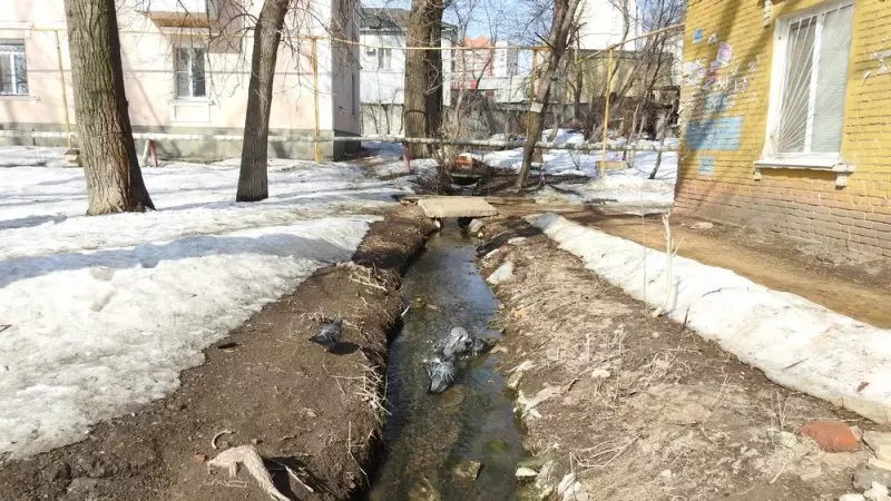 علت تخریب جمعی افرا در ساراتوف خواهد تعمیرات پیاده روها خواهد بود 14336_5