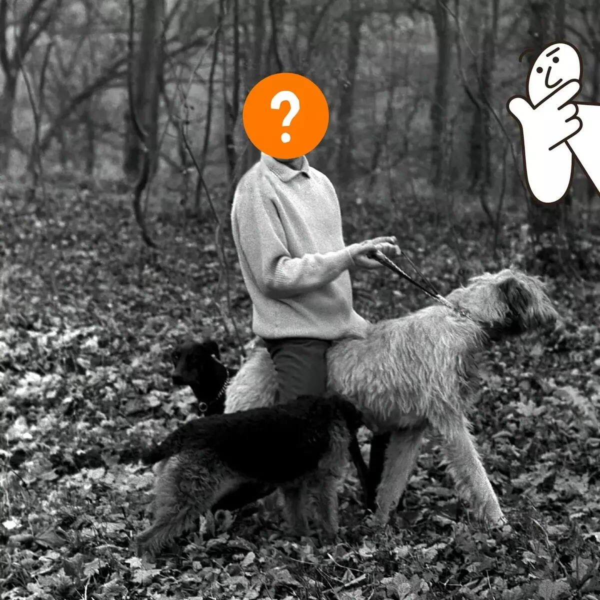 Тест: Погоди писац на свом псу