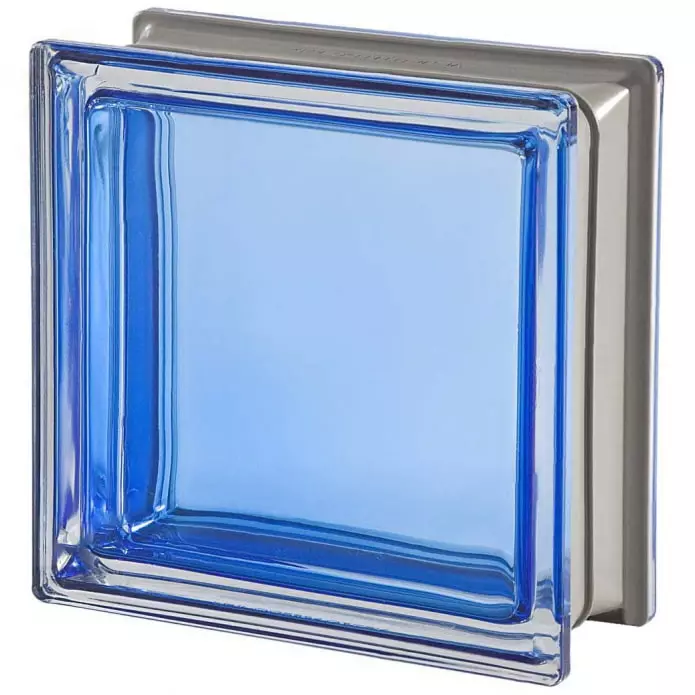 Blokên Glass li hundur (45 wêne) - Cûre, Pro û Cons 14507_6