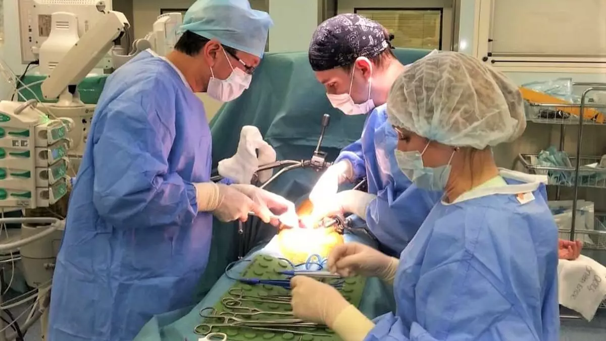Há 4 horas para transplantar o coração - o UGRA está dominando um novo tipo de transplante de órgãos 14835_1