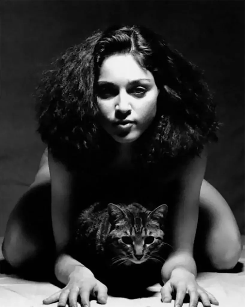 Célébrités et leurs chats dans des photos vintage étonnantes (Salvador Dali, comme toujours, se distinguent) 15989_11