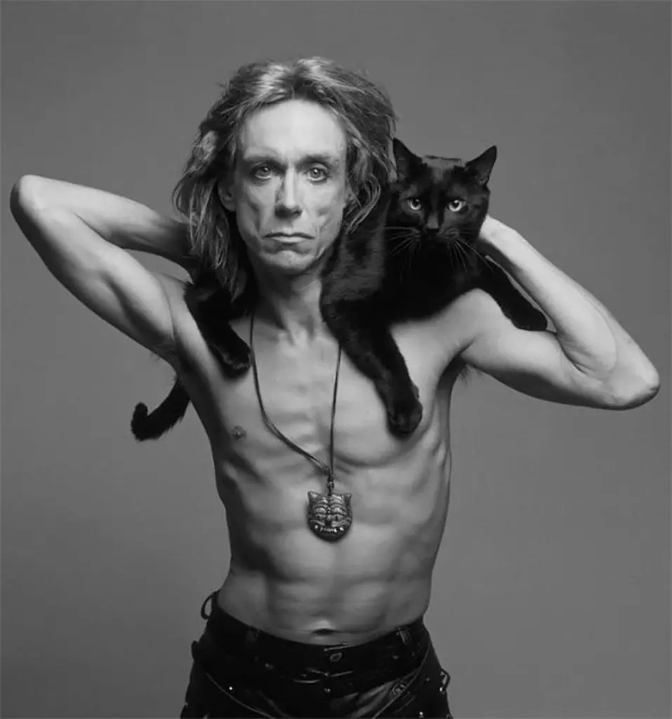 Slavenības un viņu kaķi pārsteidzoši vintage fotogrāfijas (Salvador Dali, kā vienmēr, izcēlās) 15989_25