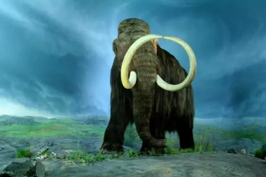 由於世界上最古老的DNA，科學家們揭示了來自冰球期間的猛獁象的秘密 16670_1
