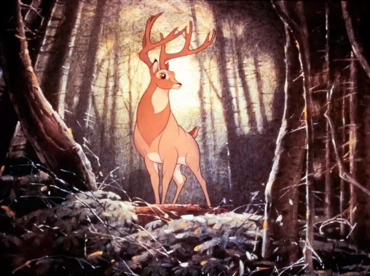 Vad vet vi om Bambi? Varför tog Bambi-sagan inte till barn? 17079_7