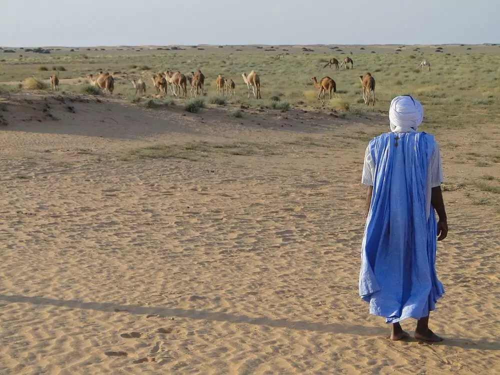 Mauri (Mauritan) - katurunan Cavalry 17325_5