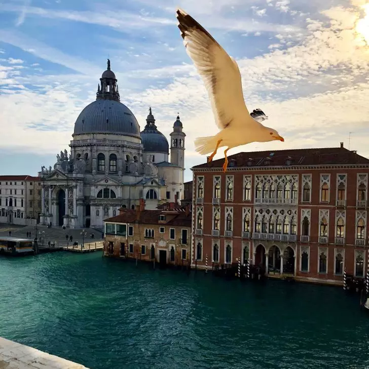 20+ фотографија које ће вам показати романтичну венецију са неочекиване стране 18069_3