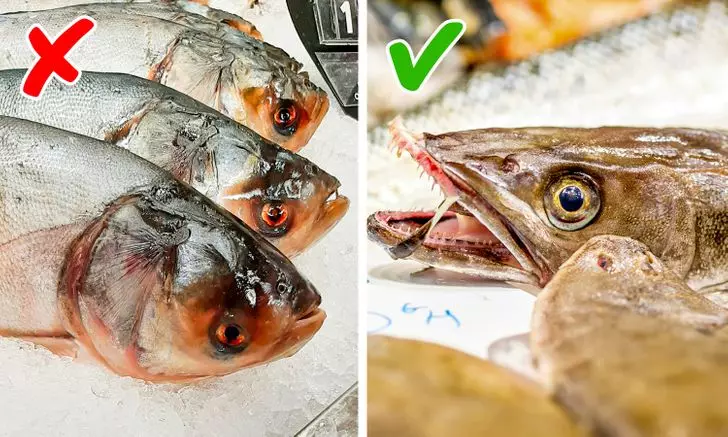 8 ચિન્હો કે જે તમે ખતરનાક માછલી વેચવાનો પ્રયાસ કરી રહ્યા છો 18972_7