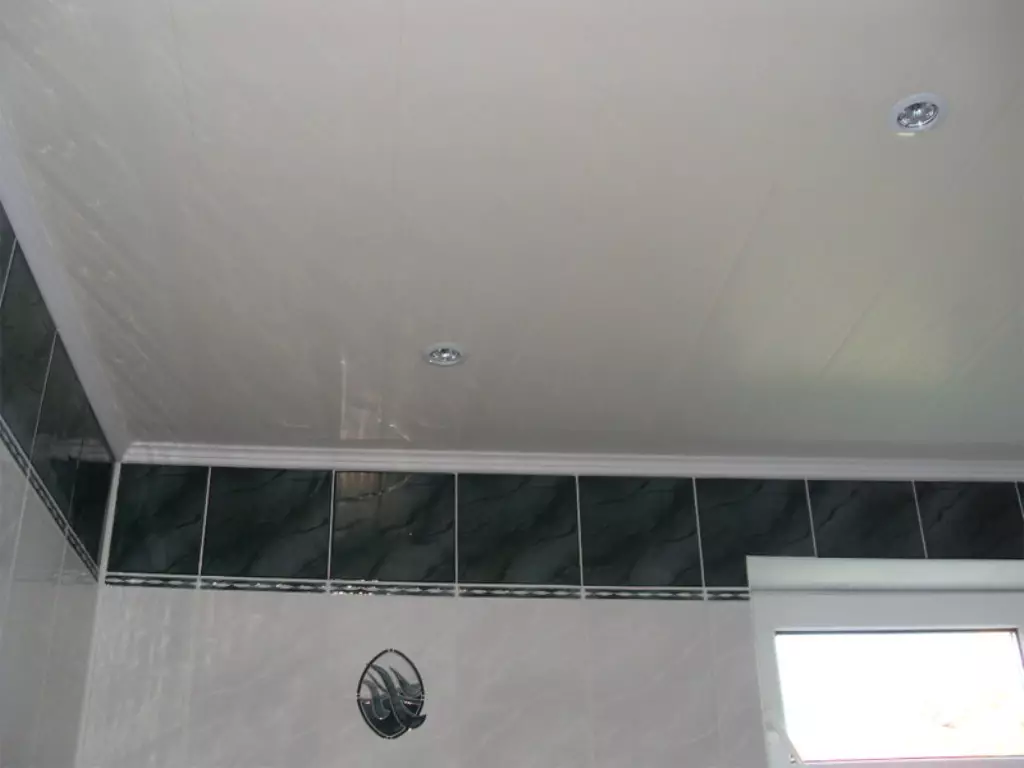 浴室で天井のトリム：オプションと方法 19136_1