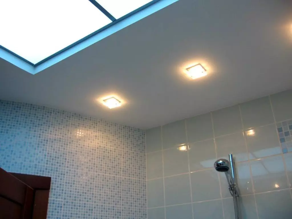 浴室で天井のトリム：オプションと方法 19136_2