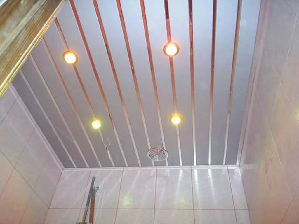 浴室で天井のトリム：オプションと方法 19136_3