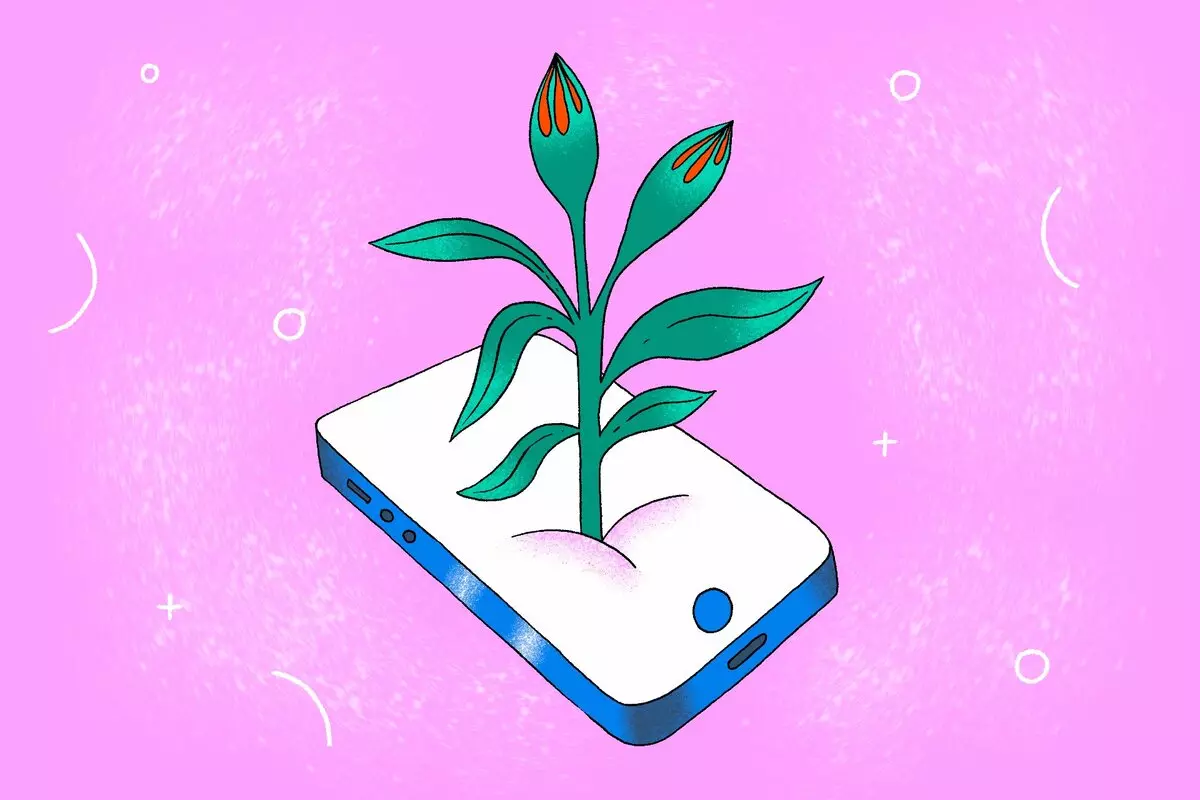Növényeket tanulmányozunk: 7 hasznos alkalmazások a fiatal naturalisták számára