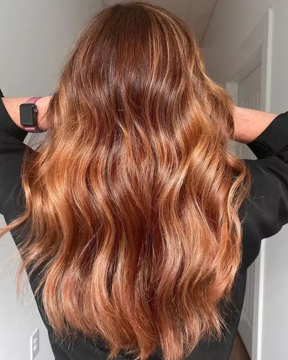 15 raisons d'aimer une couleur de cheveux de cuivre incroyable 1958_2