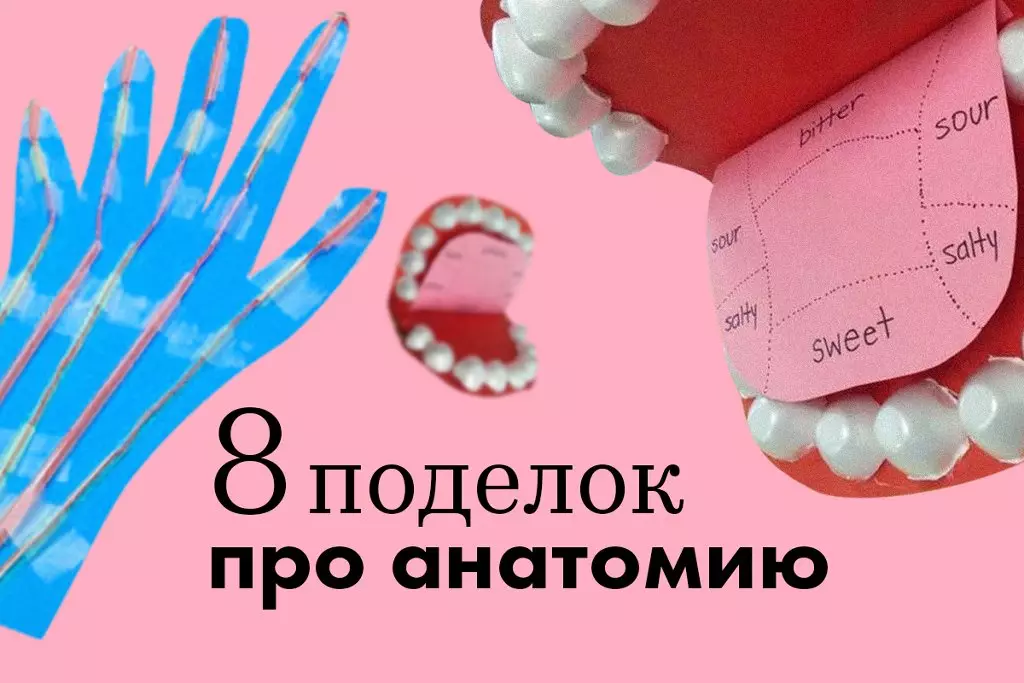 Анатомія людини в ватяних паличках і кульках: 8 цікавих виробів