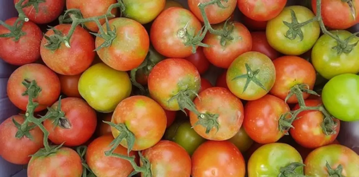 Kazakstan begränsade tillfälligt import av tomater från Azerbajdzjan och anmält Ryssland om det