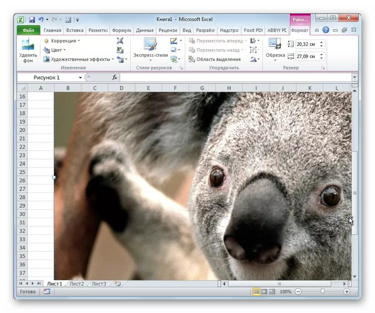 Excel 테이블에 그림을 삽입하는 방법. Excel에서 이미지 삽입 및 설정 2076_3