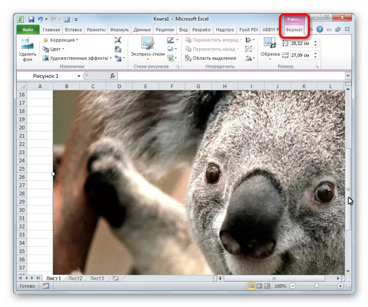 એક્સેલ ટેબલમાં એક ચિત્ર કેવી રીતે દાખલ કરવું. Excel માં એક છબી દાખલ કરો અને સુયોજિત કરી રહ્યા છે 2076_6