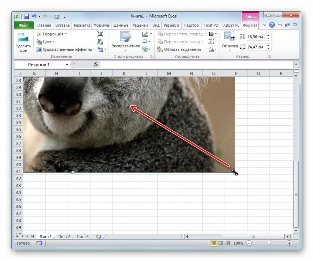 Slik setter du inn et bilde i Excel-tabellen. Sett inn og sette opp et bilde i Excel 2076_7