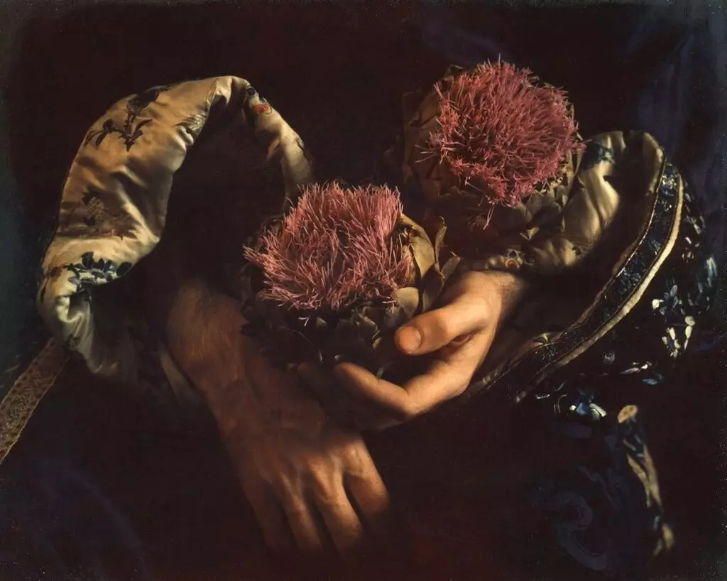 Marie Kosplandas：CaravaggioとClimaの精神のポラロイドの傑作 20930_3