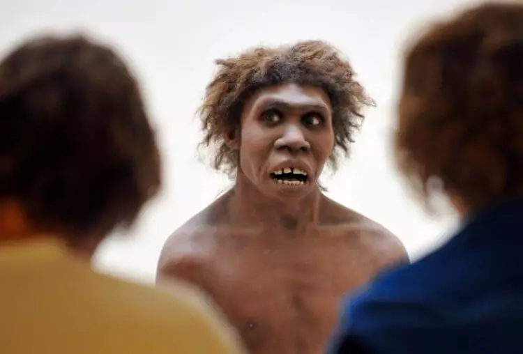 Hoe goed het Neanderthal gepraat? 2096_1
