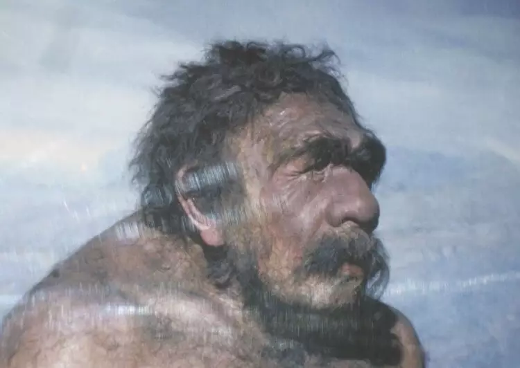 Neanderthalek nola hitz egin zuen? 2096_5