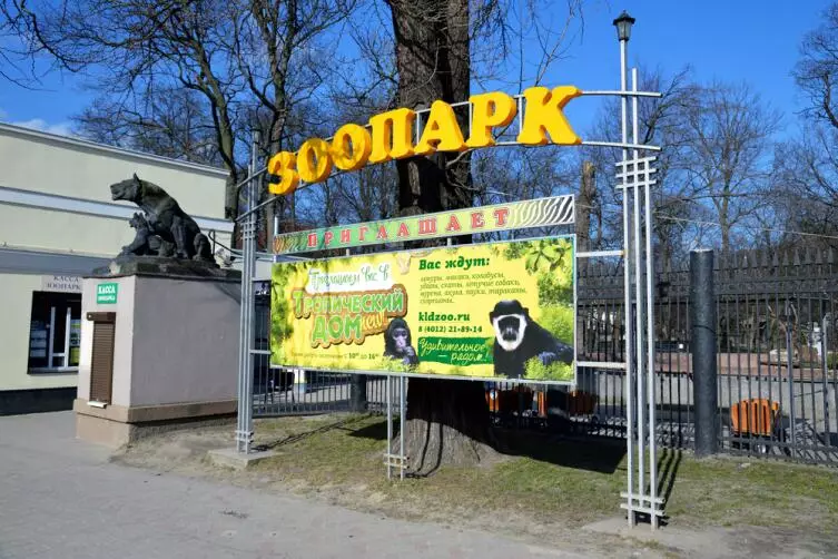 Bliet tar-Russja: X'inhu Tajba Kaliningrad? Zoo u Katidral